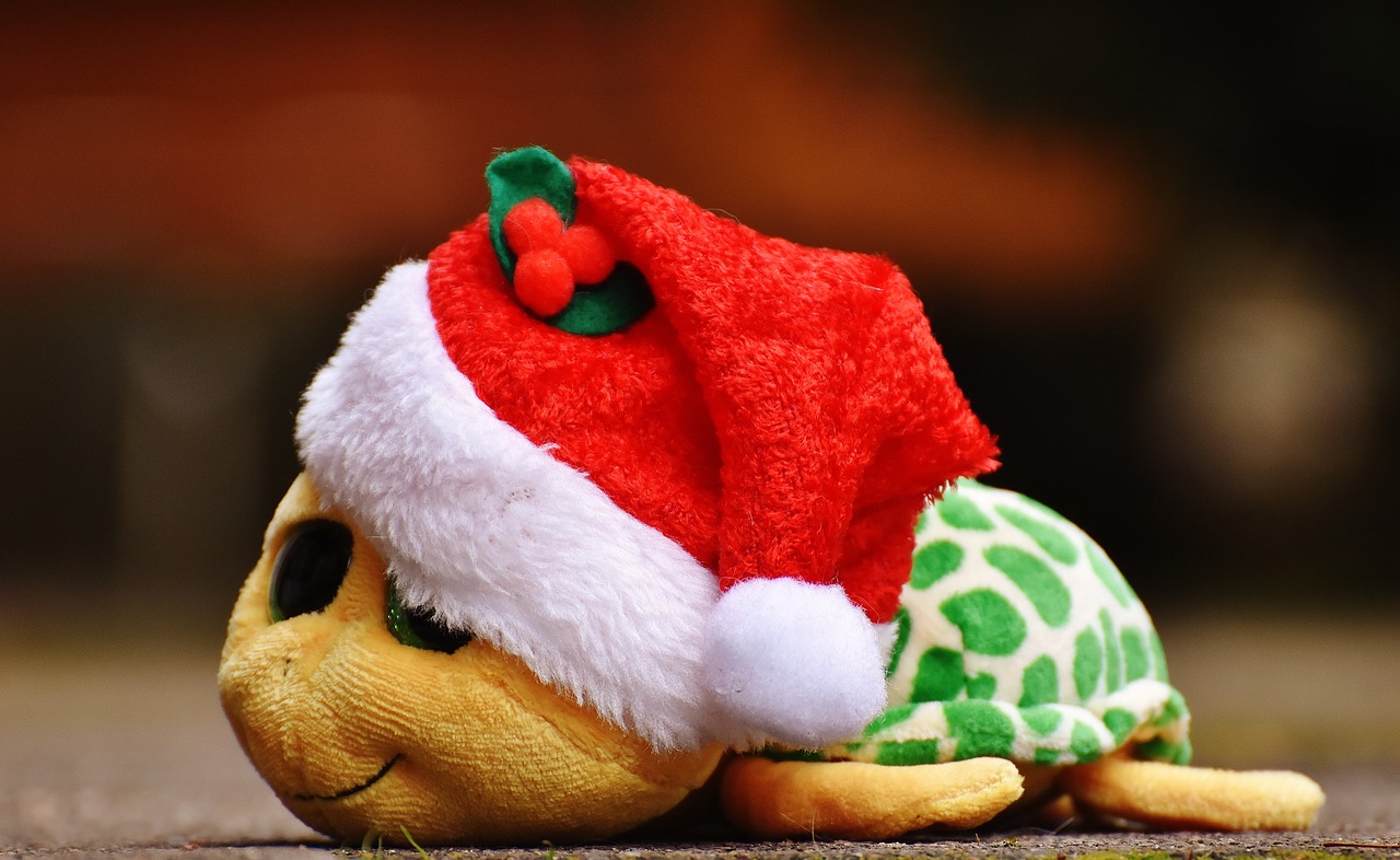 christmas turtle stuffed animal free photo