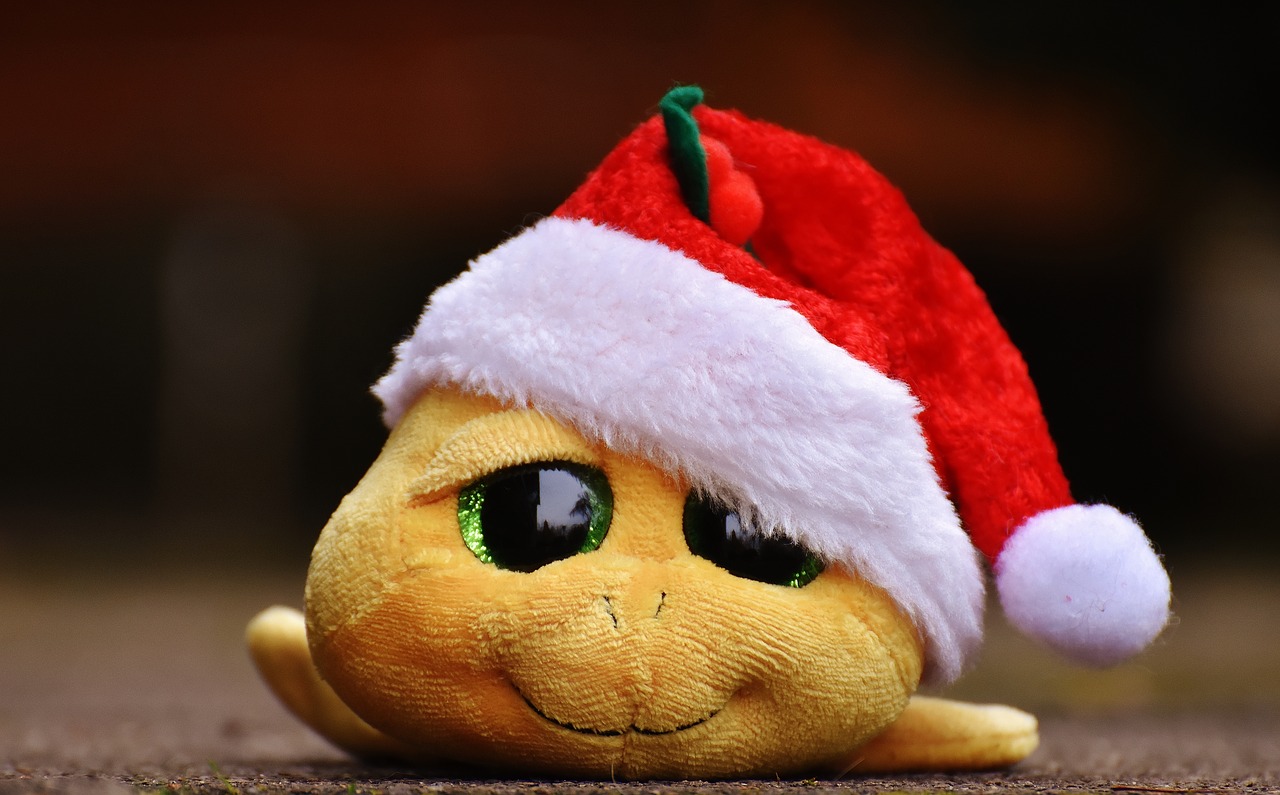 christmas turtle stuffed animal free photo