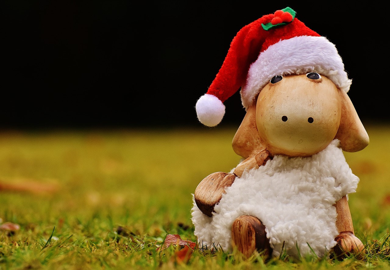 christmas sheep deco free photo