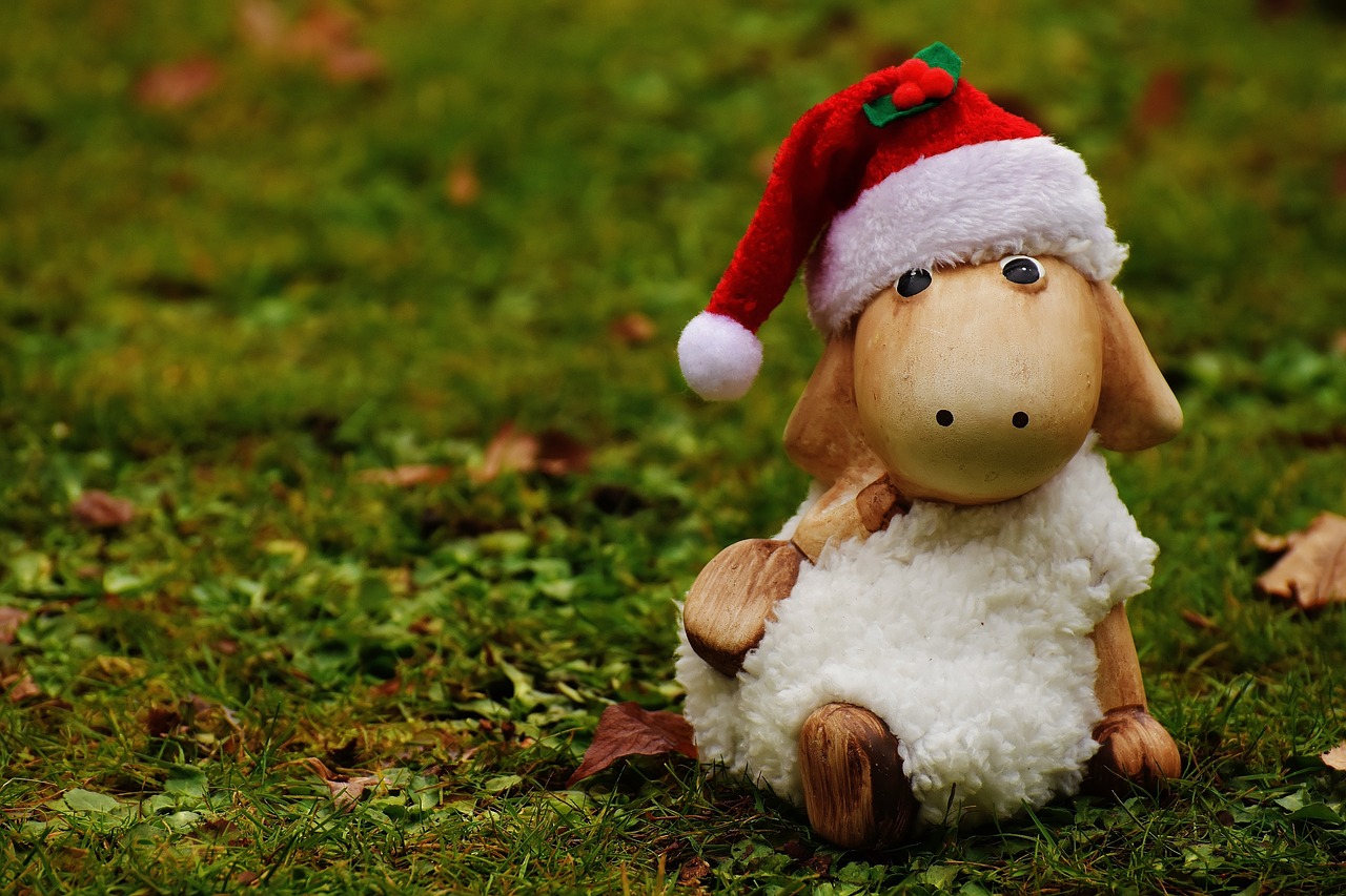 christmas sheep deco free photo
