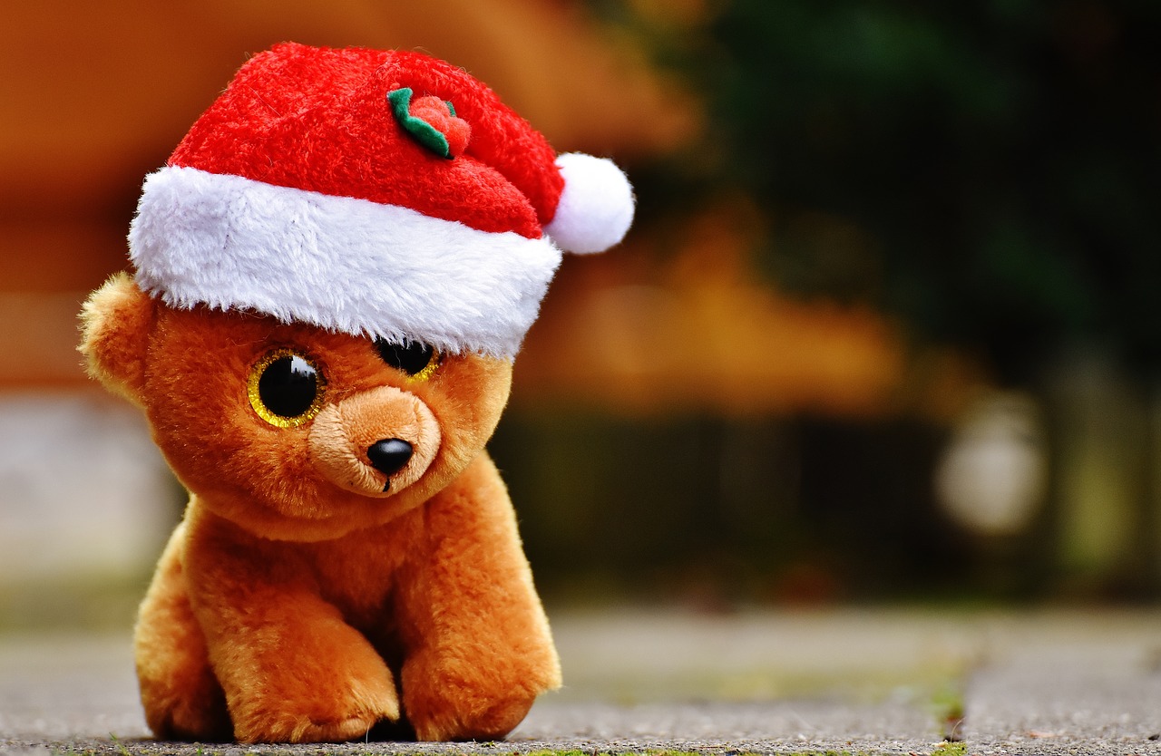 christmas teddy bear free photo