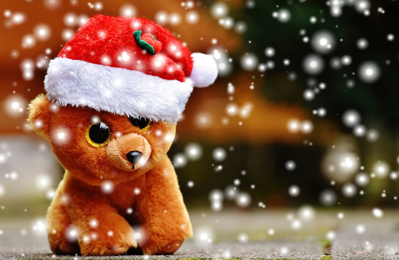 christmas teddy snow free photo