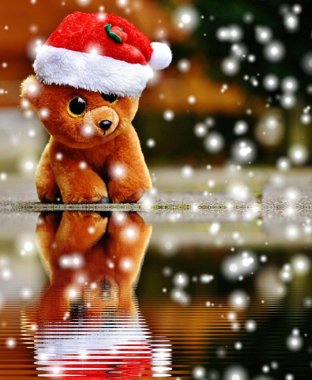 christmas teddy snow free photo