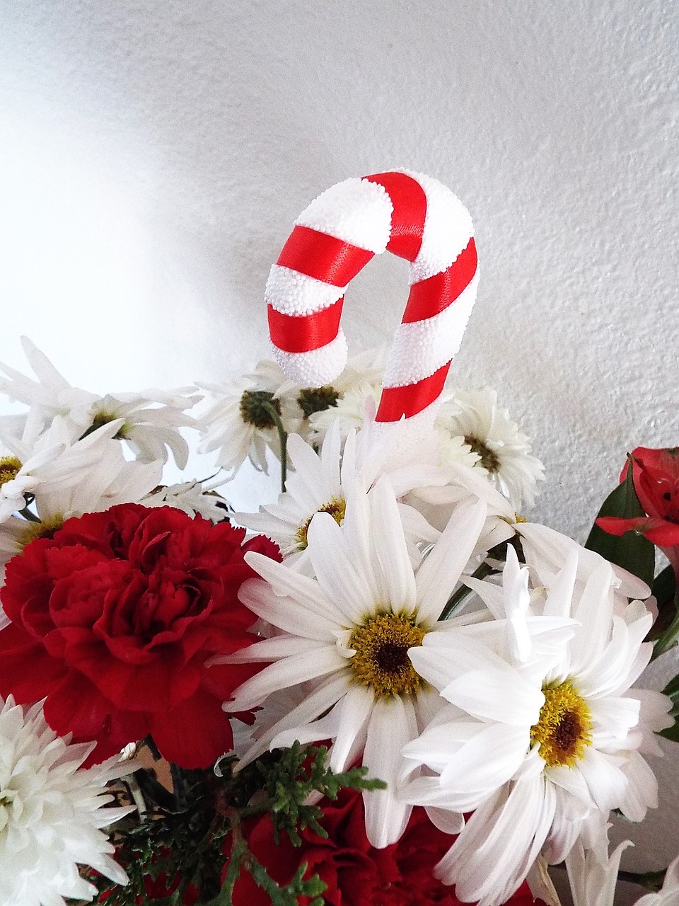 christmas floral decorative free photo