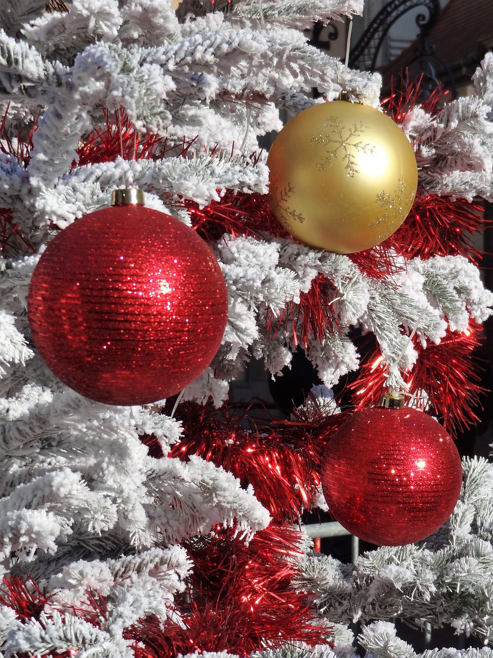 christmas christmas balls red ball free photo