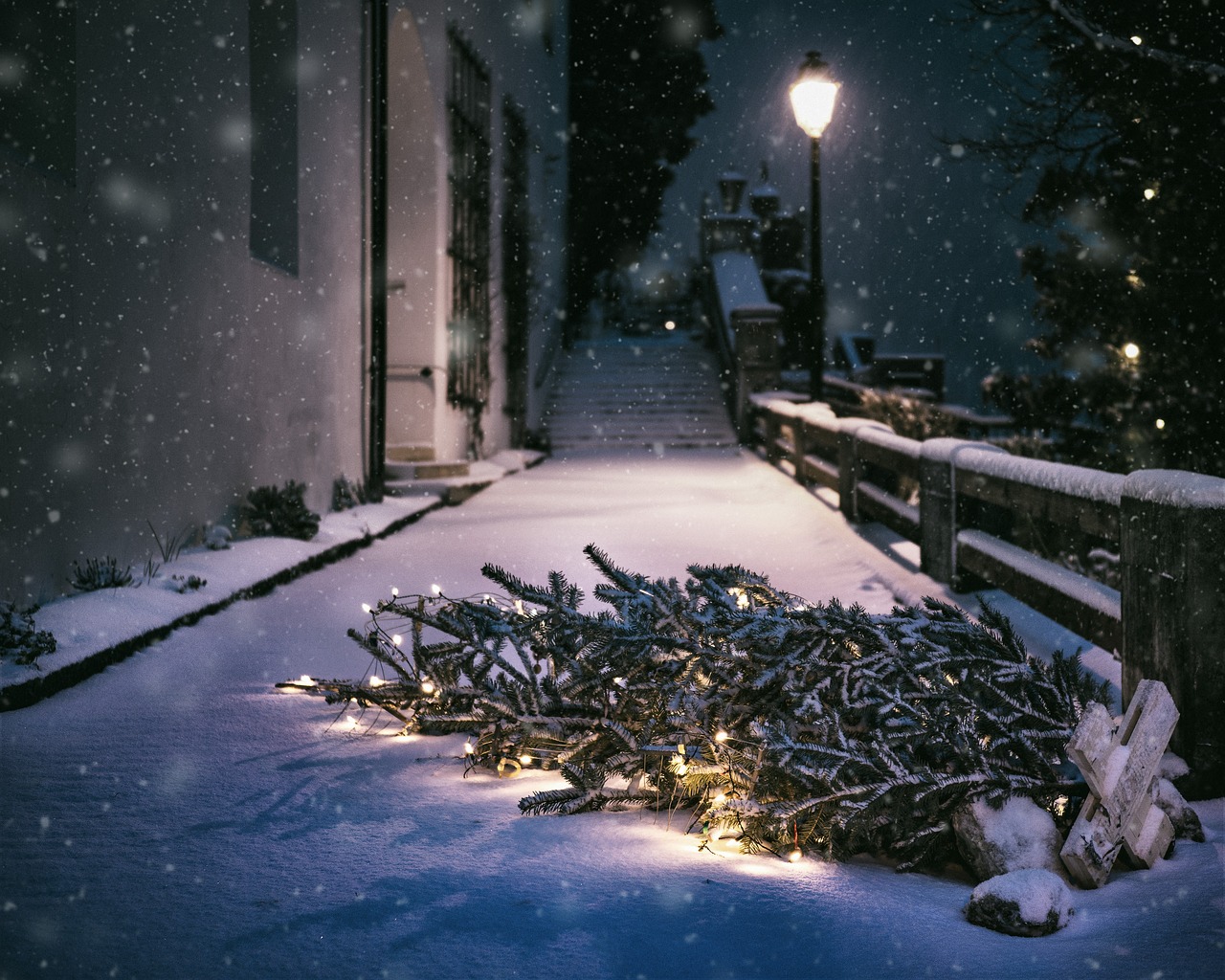 christmas snow night free photo