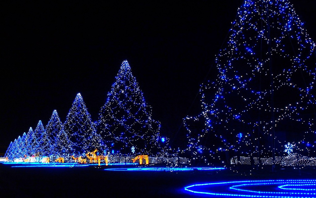 christmas lights blue free photo