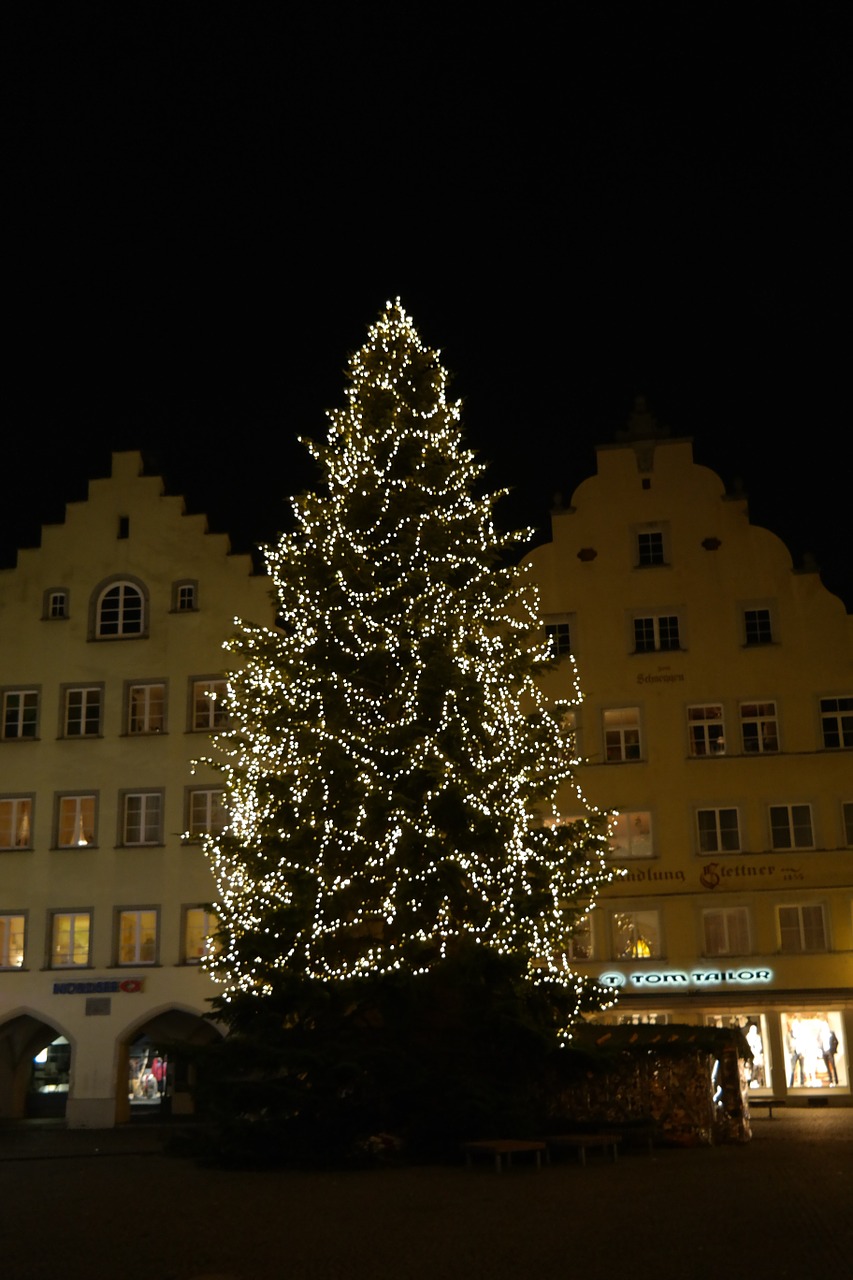christmas lichterkette tree free photo