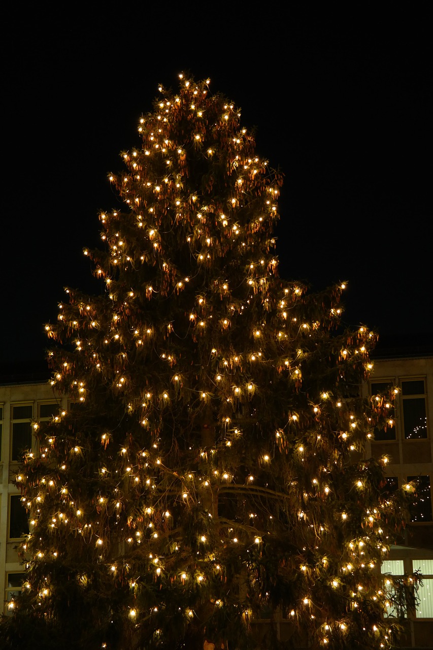 christmas lichterkette tree free photo