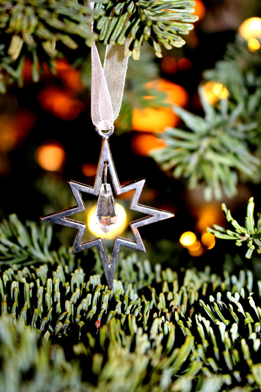 christmas star holiday free photo