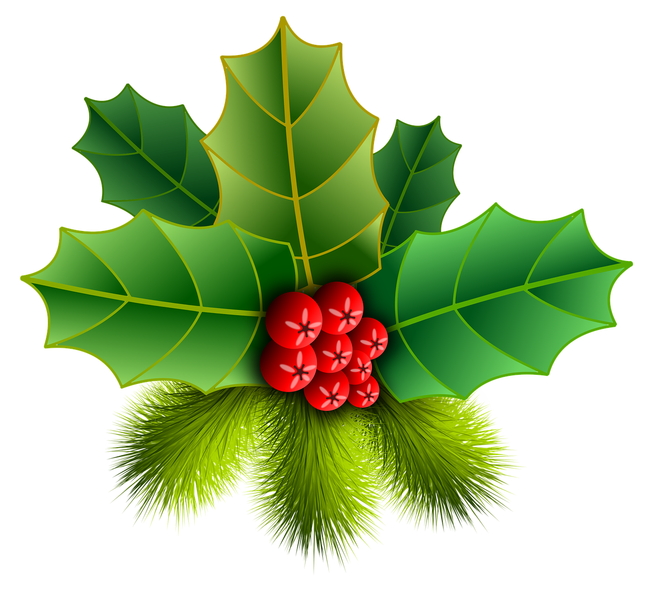 christmas holly pinheiro free photo