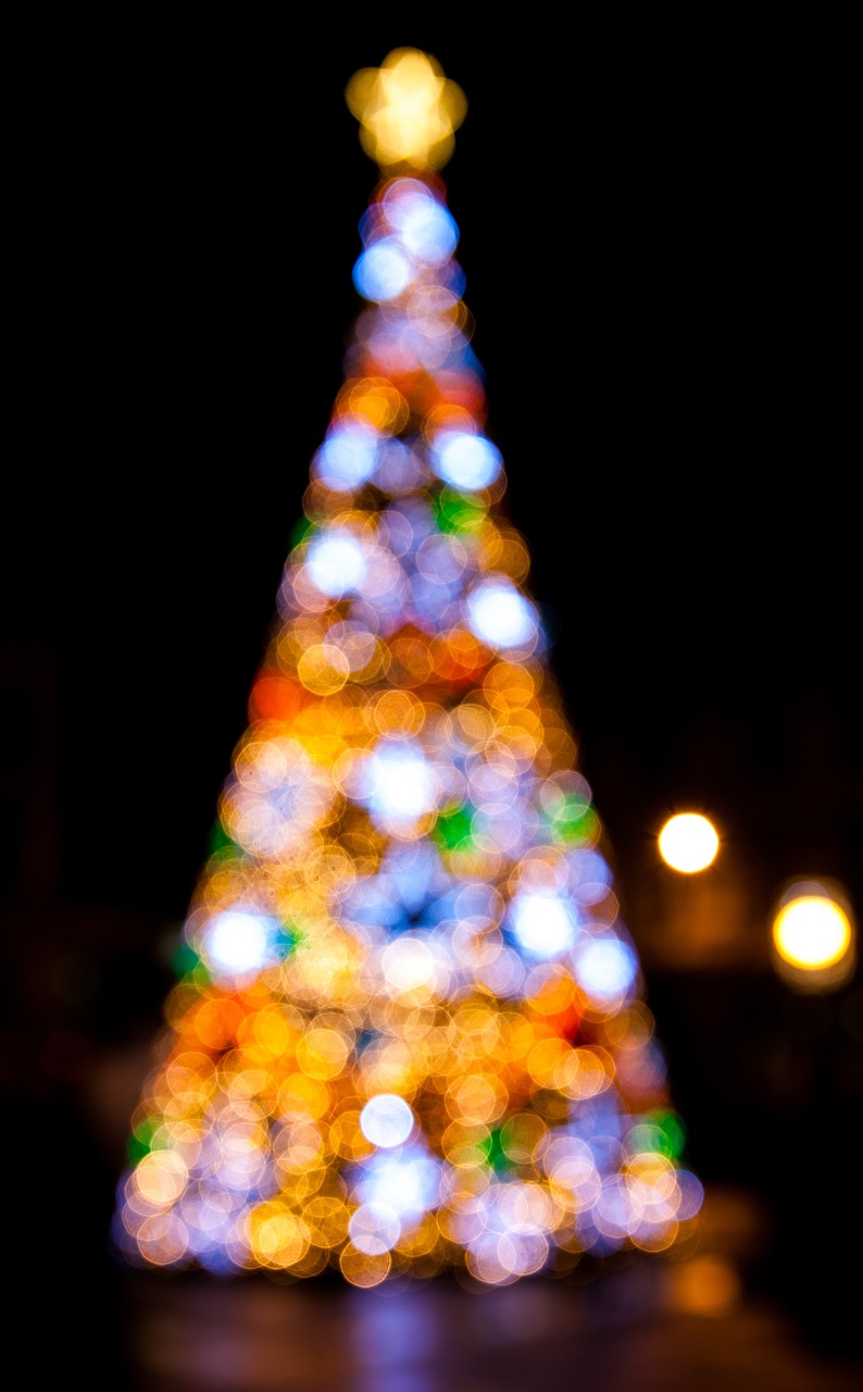 christmas tree lights free photo