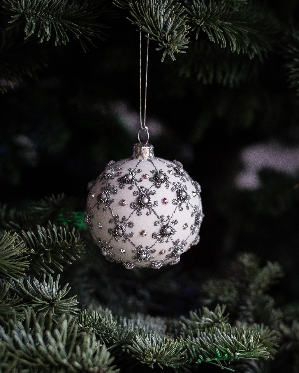 christmas tree ball free photo