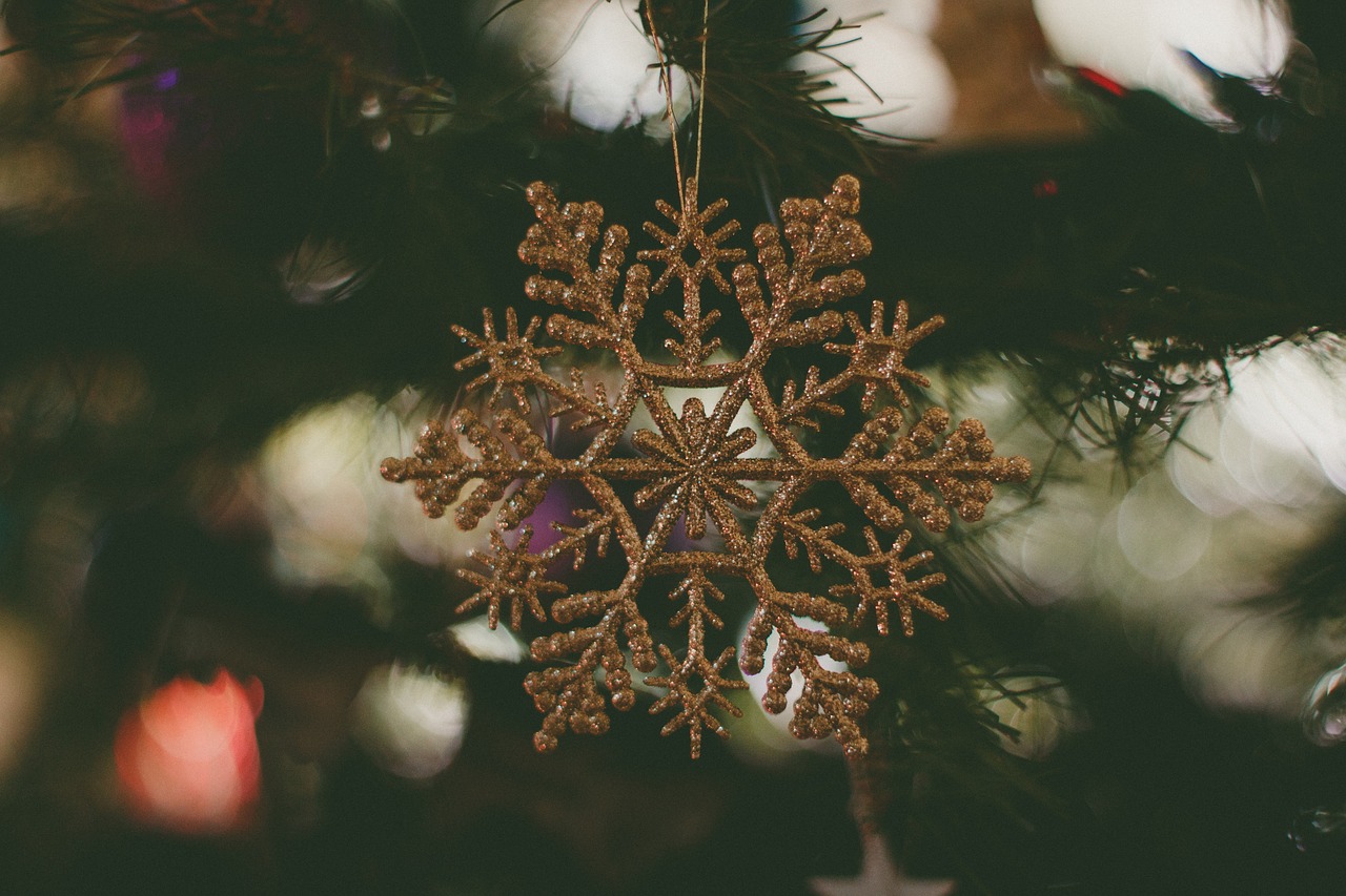 christmas tree decor free photo