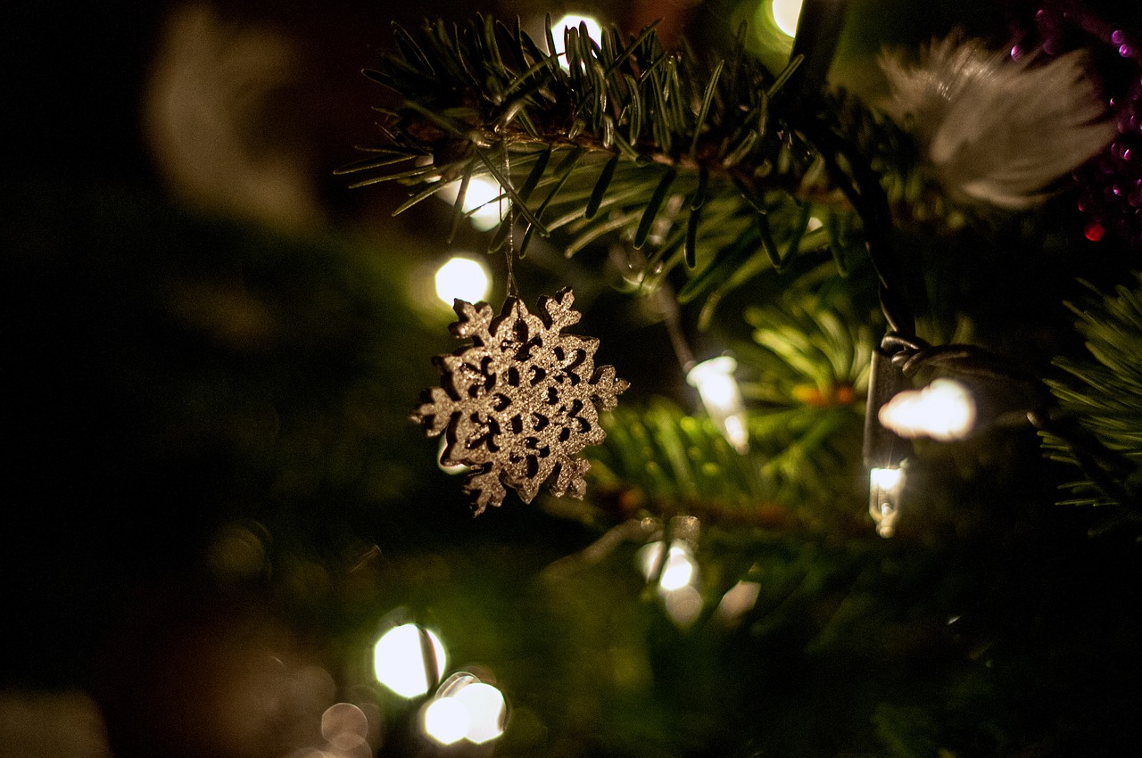 christmas tree lights free photo