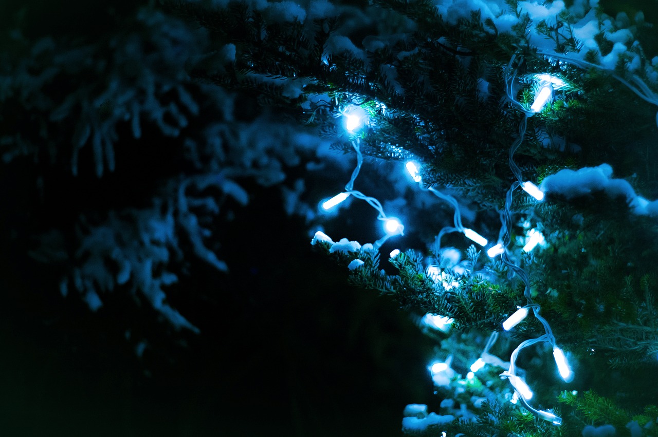 christmas lights tree free photo