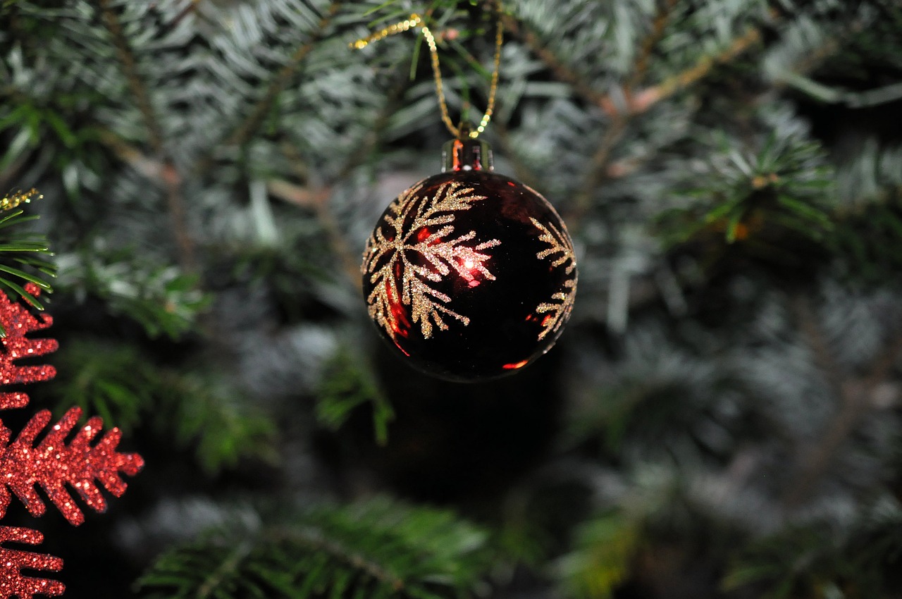 christmas christmas bauble red free photo