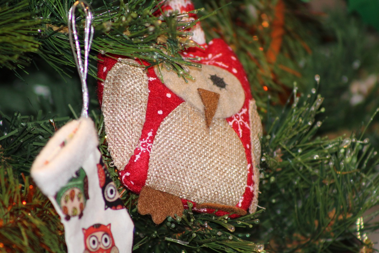 christmas decoration owl free photo