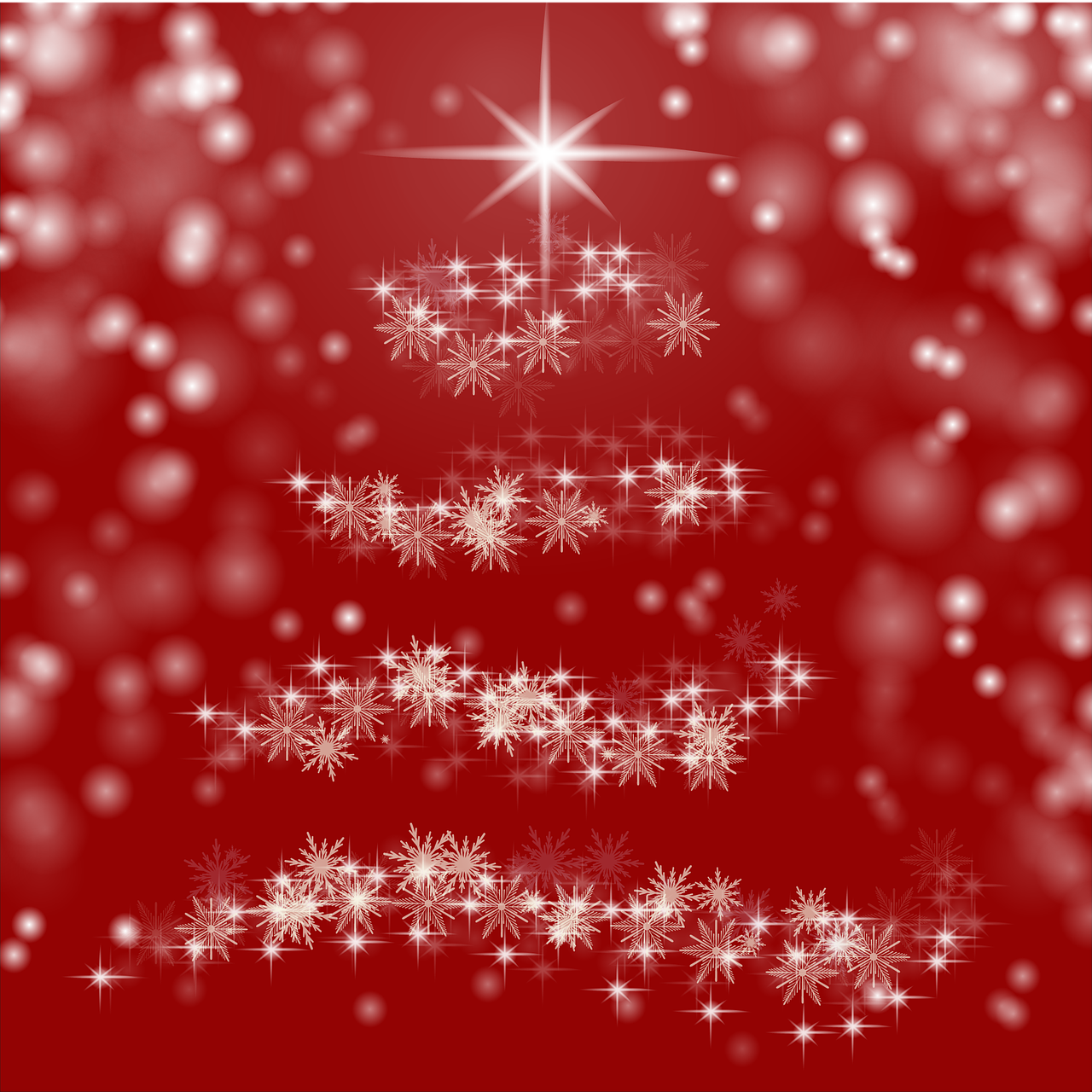 christmas christmas tree star free photo