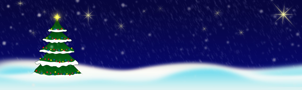 christmas snow star christmas free photo