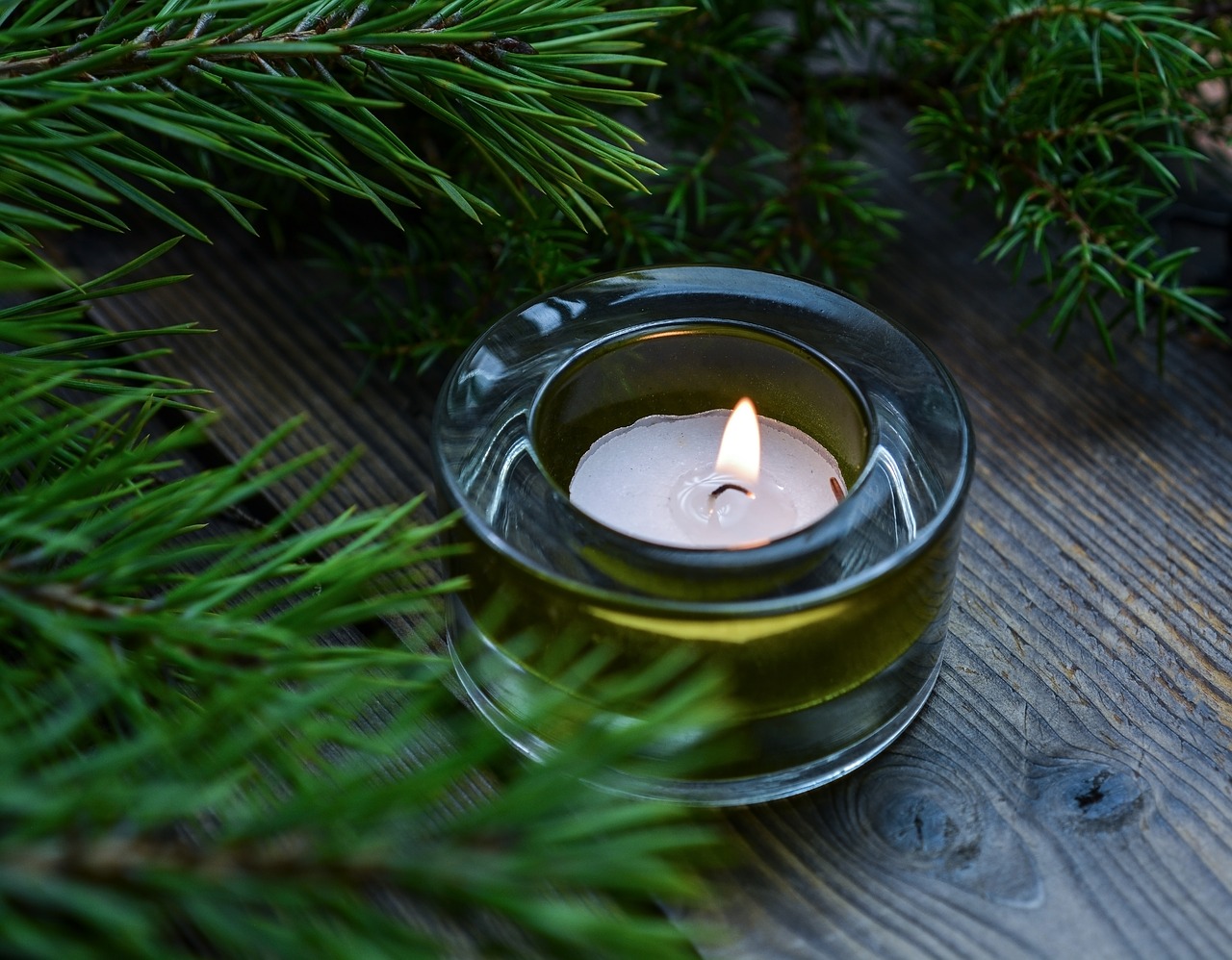 christmas pine candle free photo