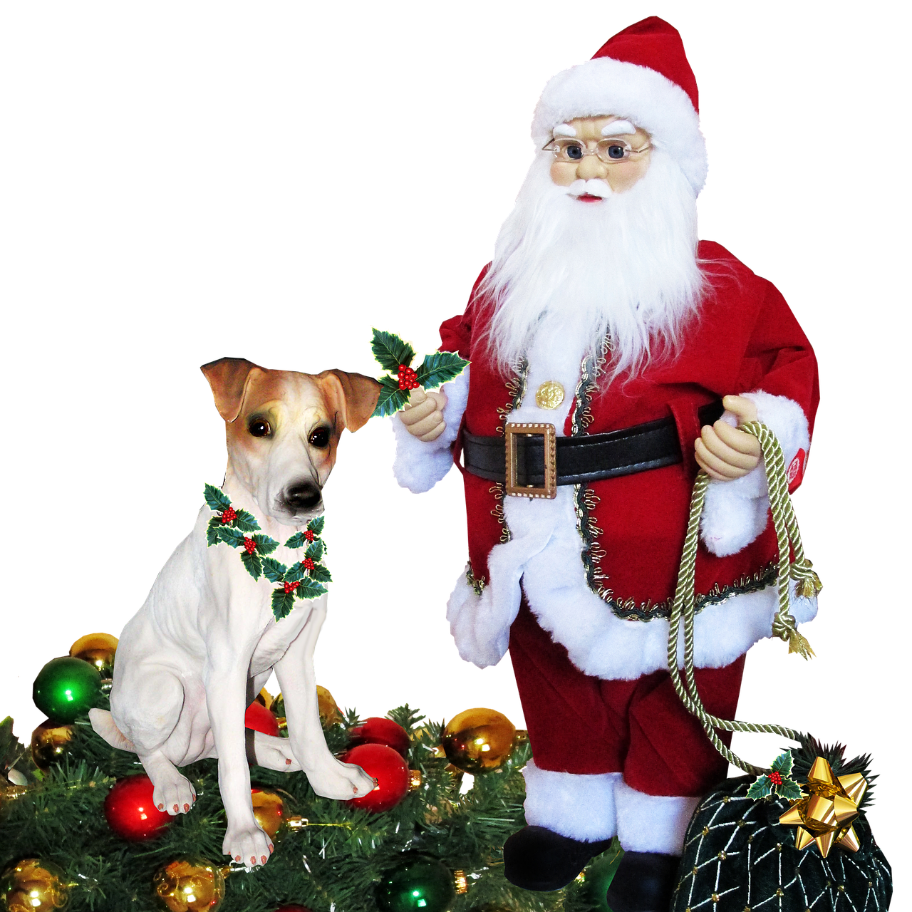 christmas santa dog free photo