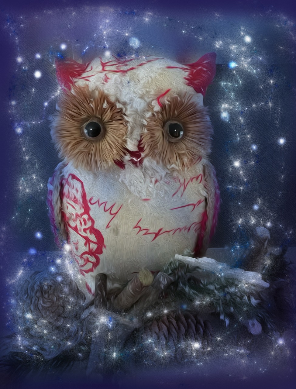 christmas owl decoration free photo