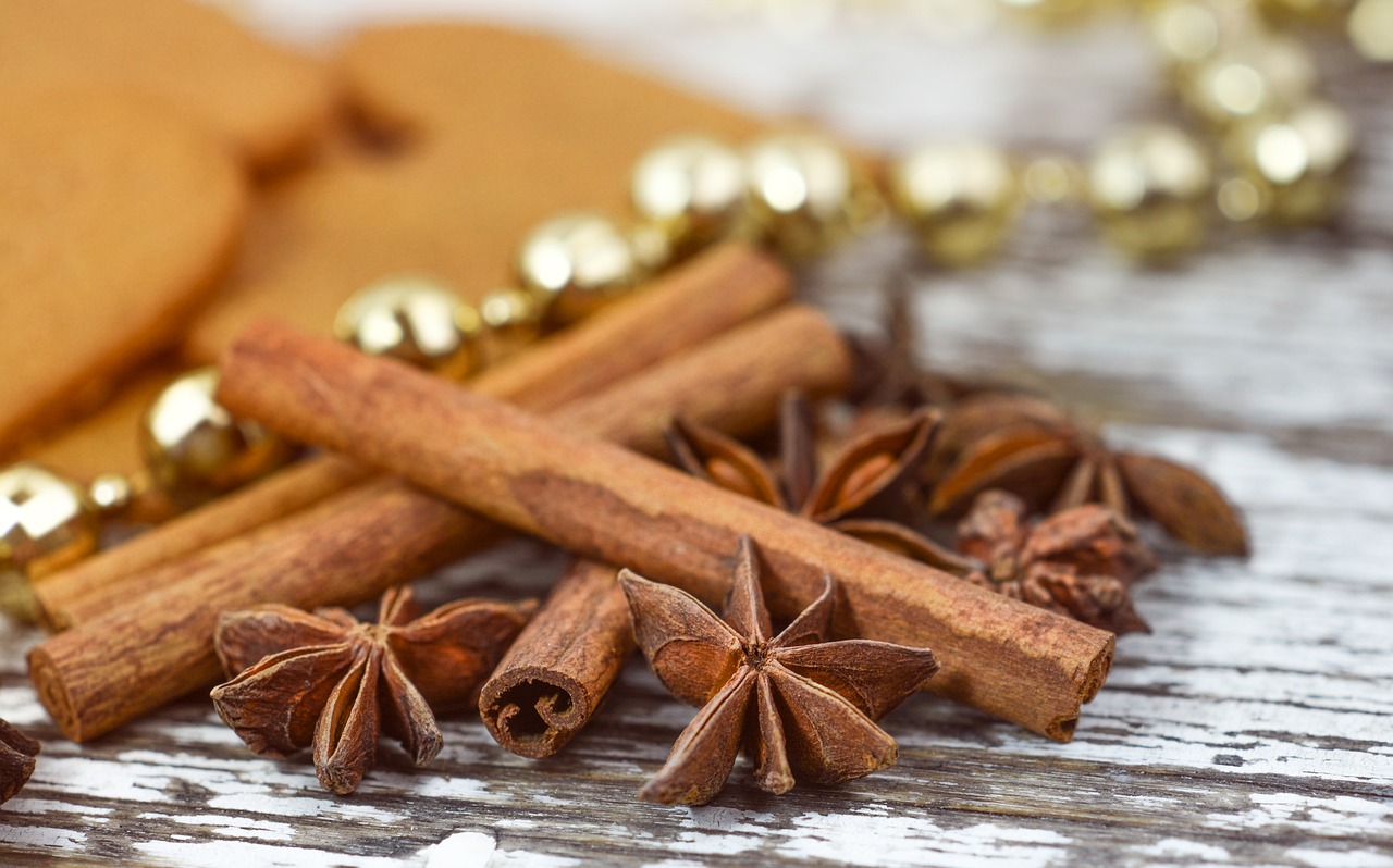 christmas anise cinnamon free photo