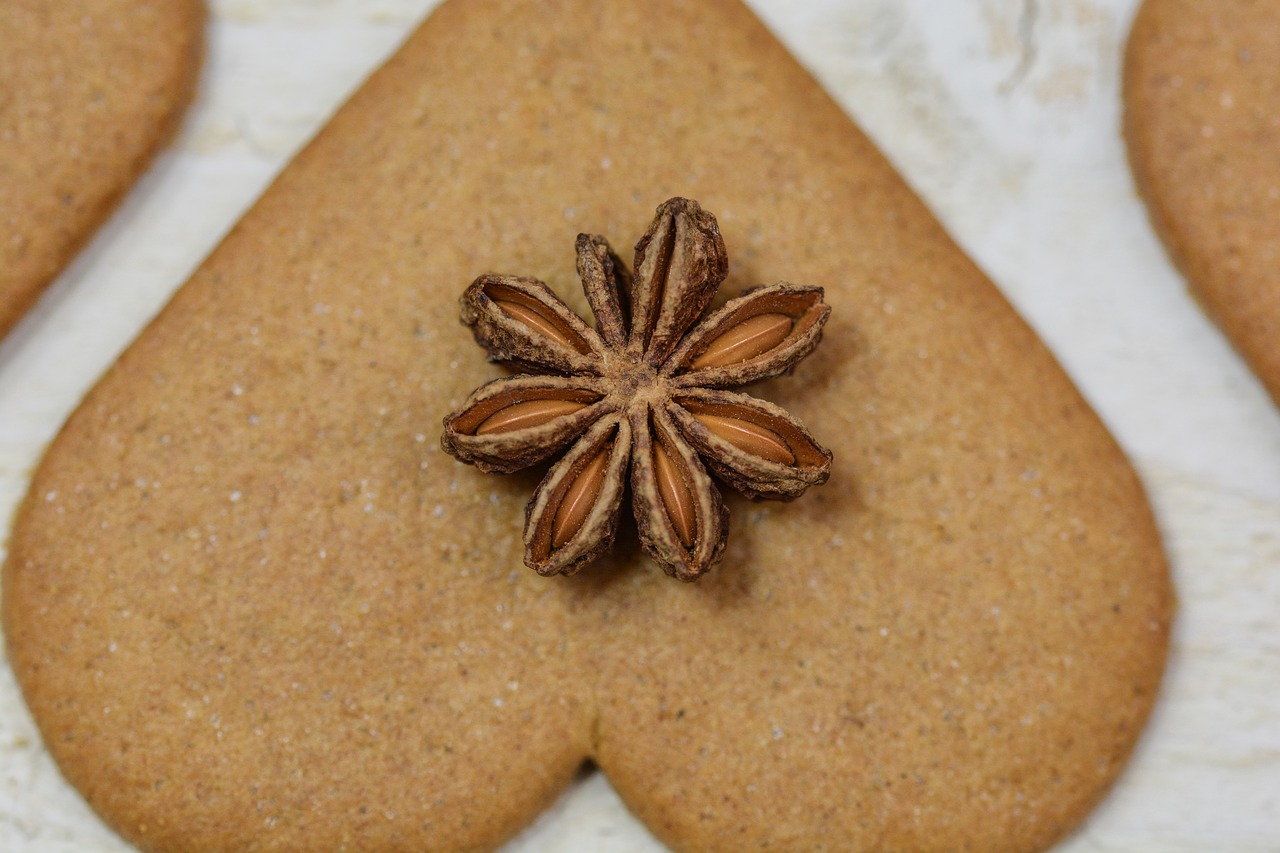 christmas gingerbread anise free photo