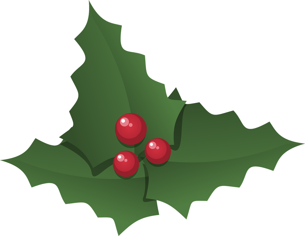christmas holly holly leaves free photo