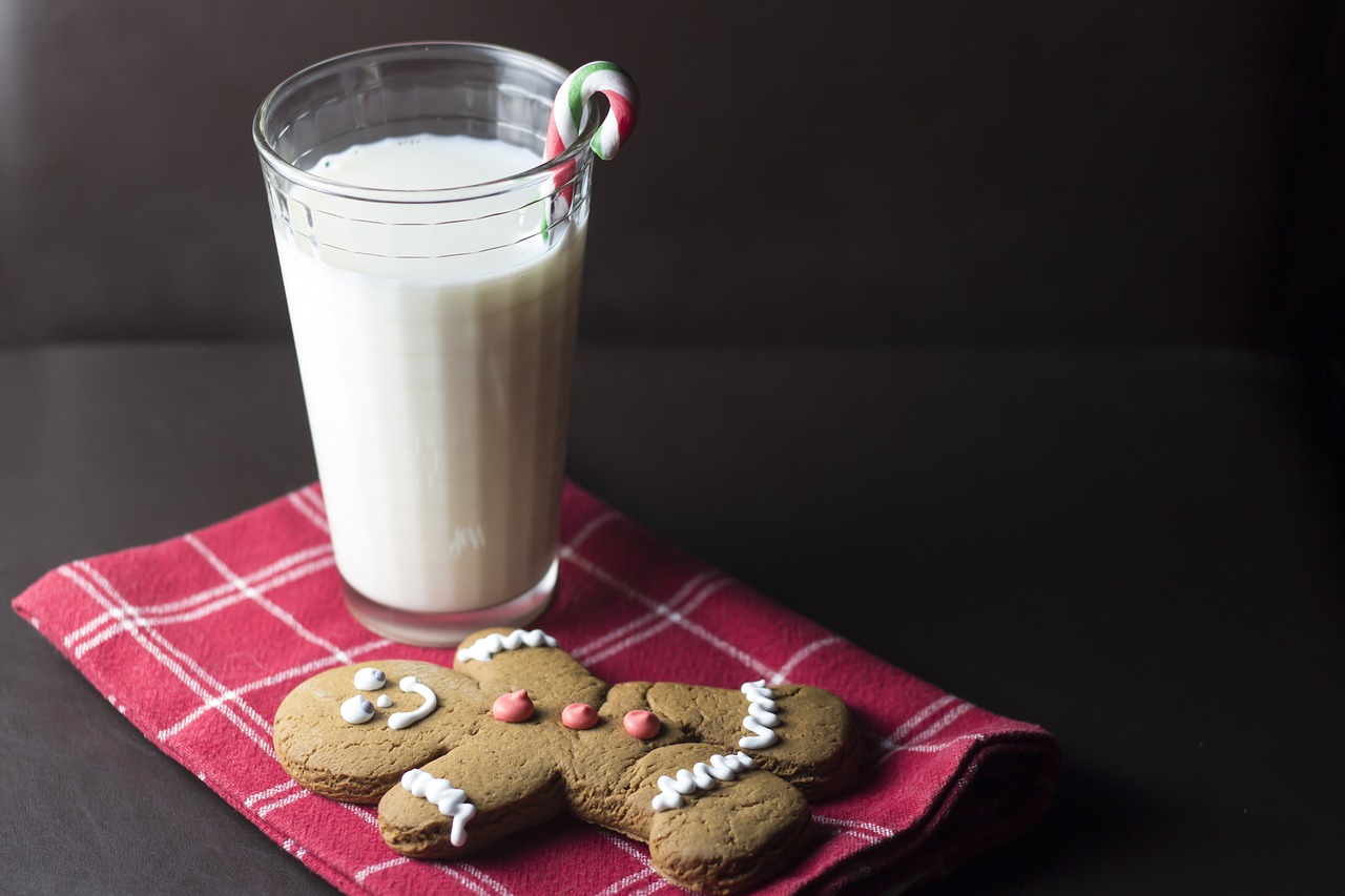 christmas cookie milk free photo