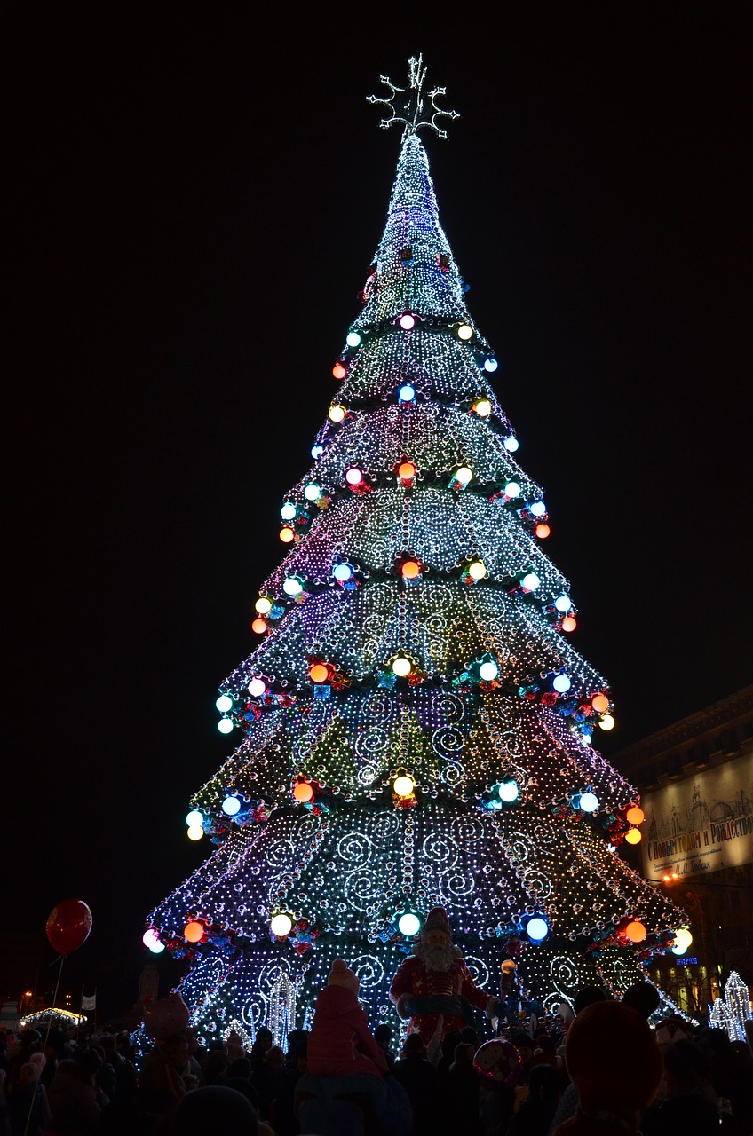 christmas winter christmas tree free photo