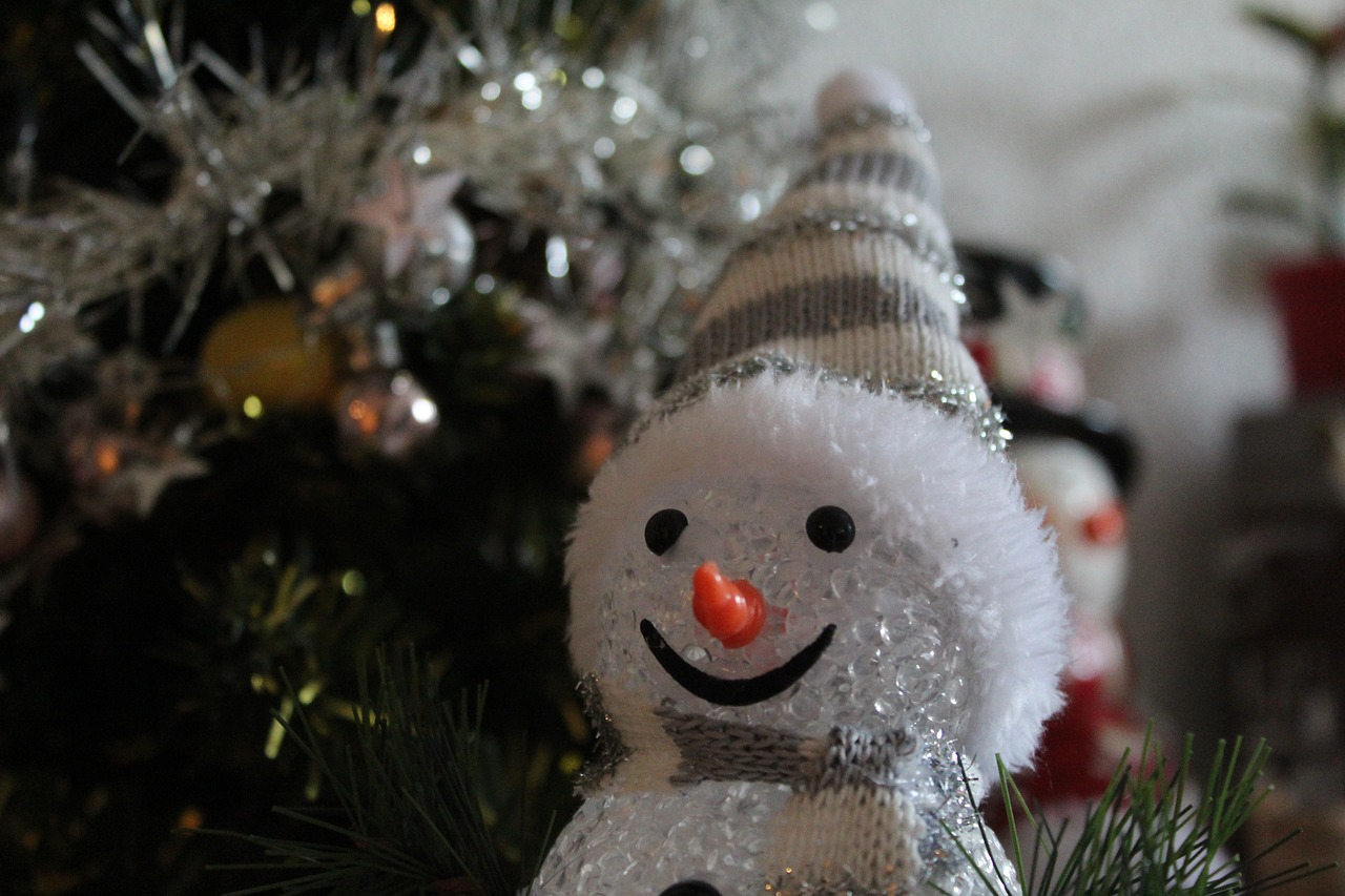 christmas  snowman  cold free photo