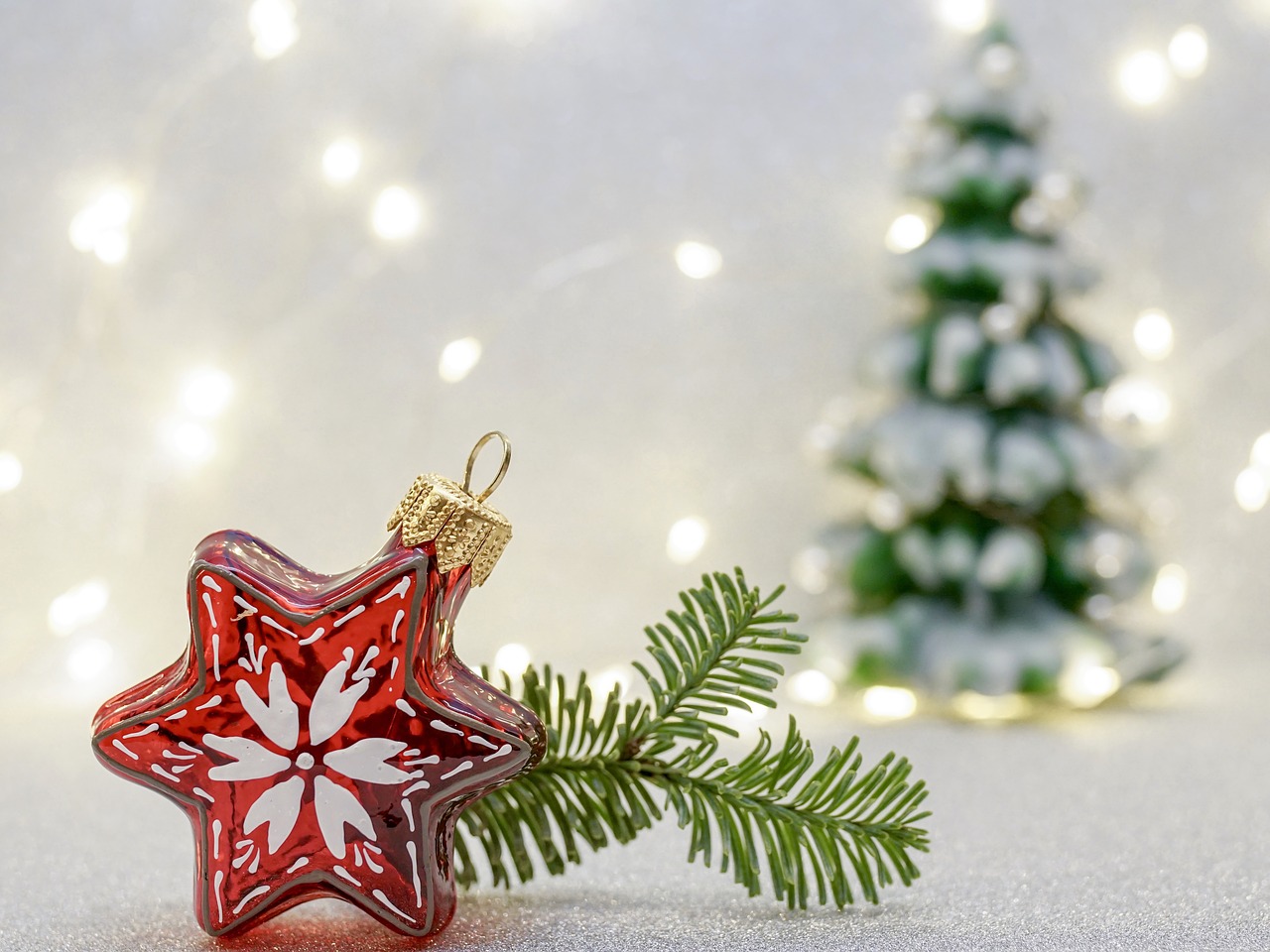 christmas  christmas decorations  poinsettia free photo