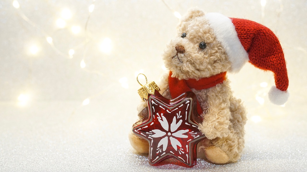 christmas  advent  teddy free photo