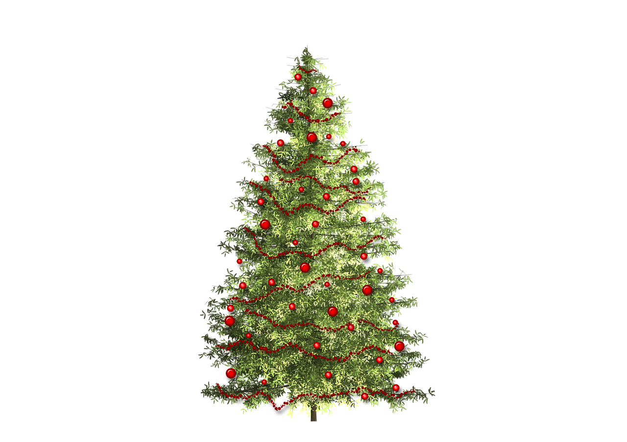 christmas  christmas tree  christmas time free photo