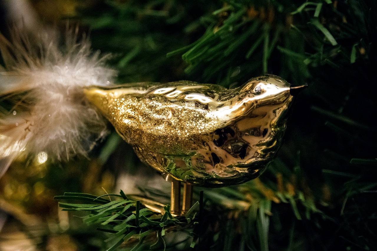 christmas  bird  gold free photo