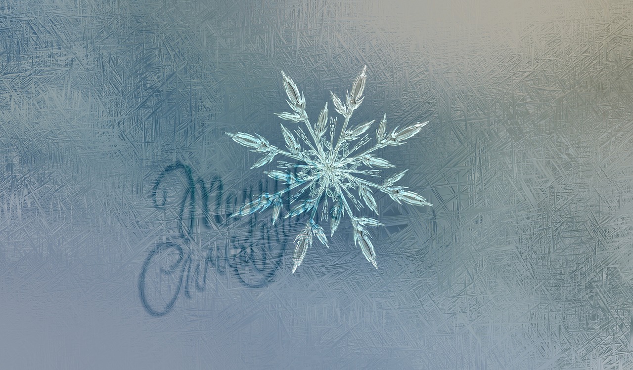 christmas  ice crystal  snowflake free photo