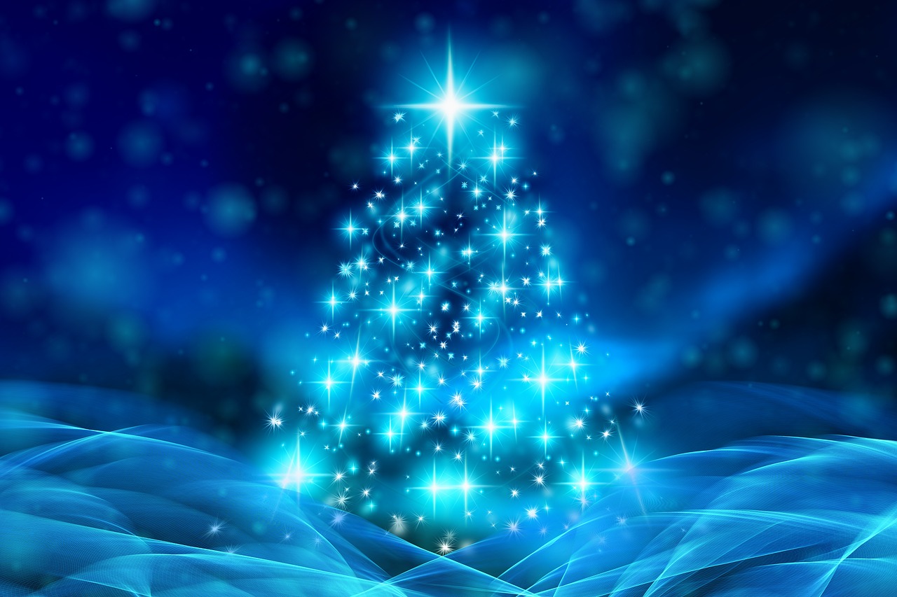 christmas  christmas tree  background free photo