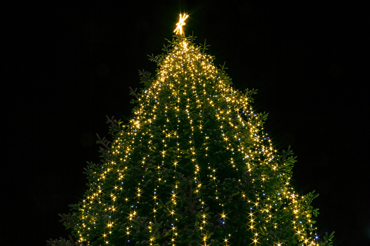 christmas  tree  lights free photo