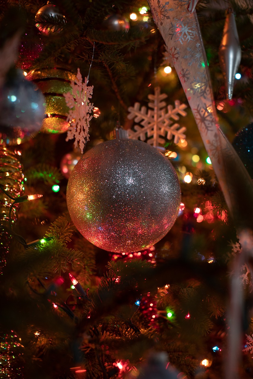 christmas  christmas lights  ornaments free photo