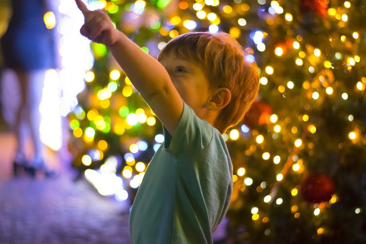 christmas  ice cream  lights free photo