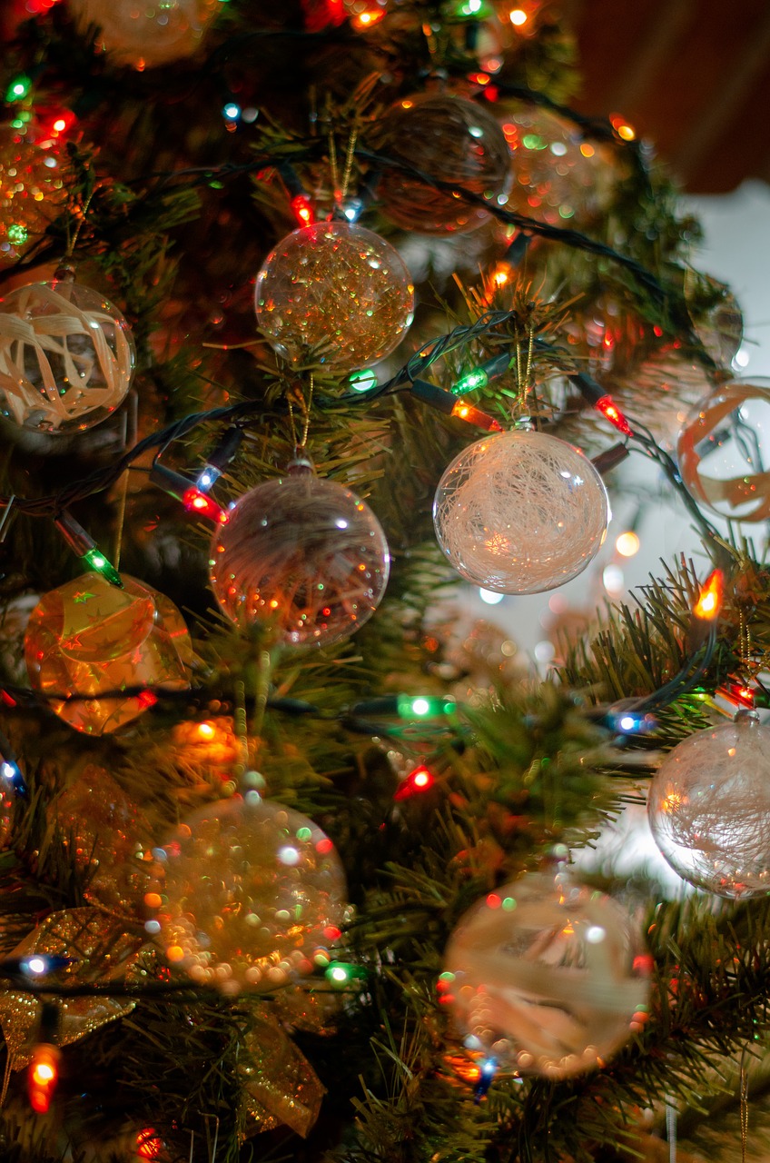 christmas  tree  decoration free photo