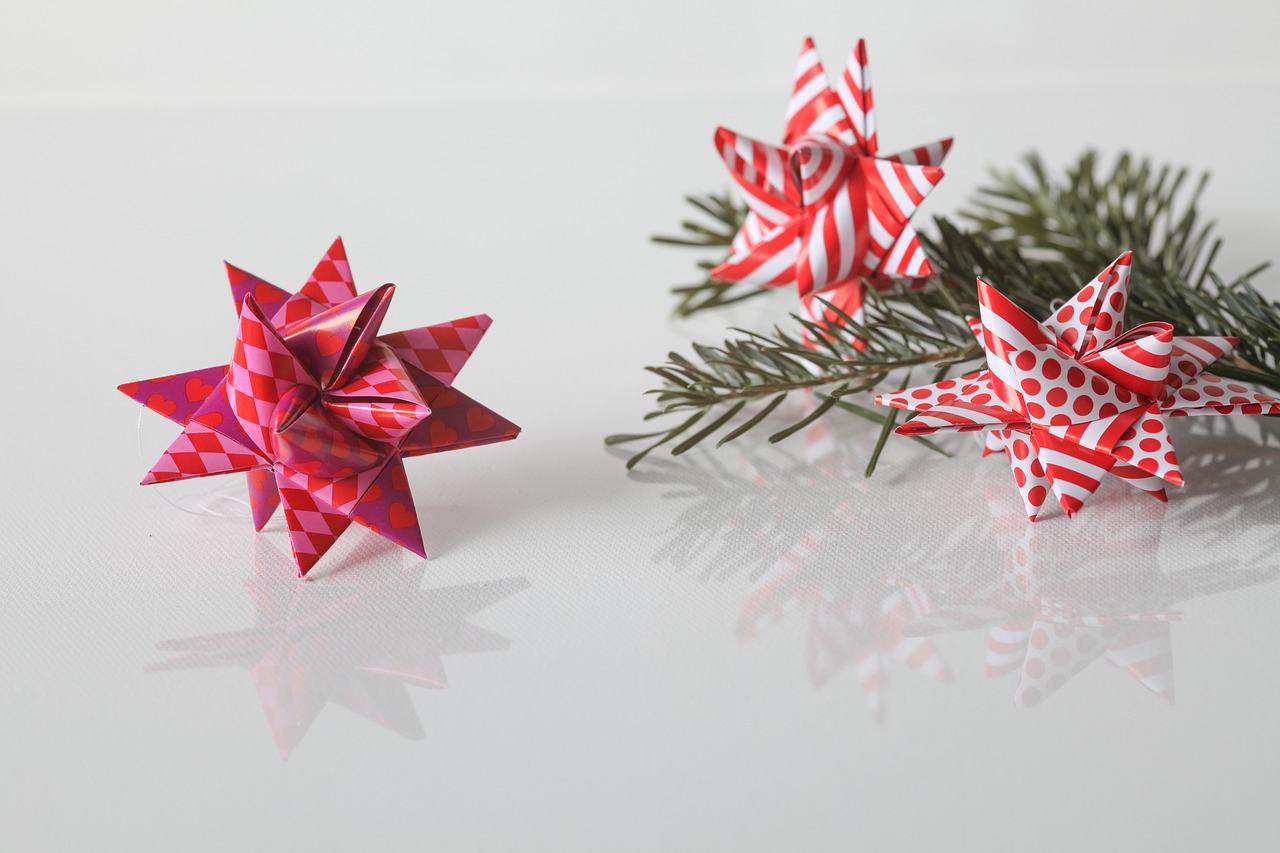 christmas  froebel star  tannenzweig free photo