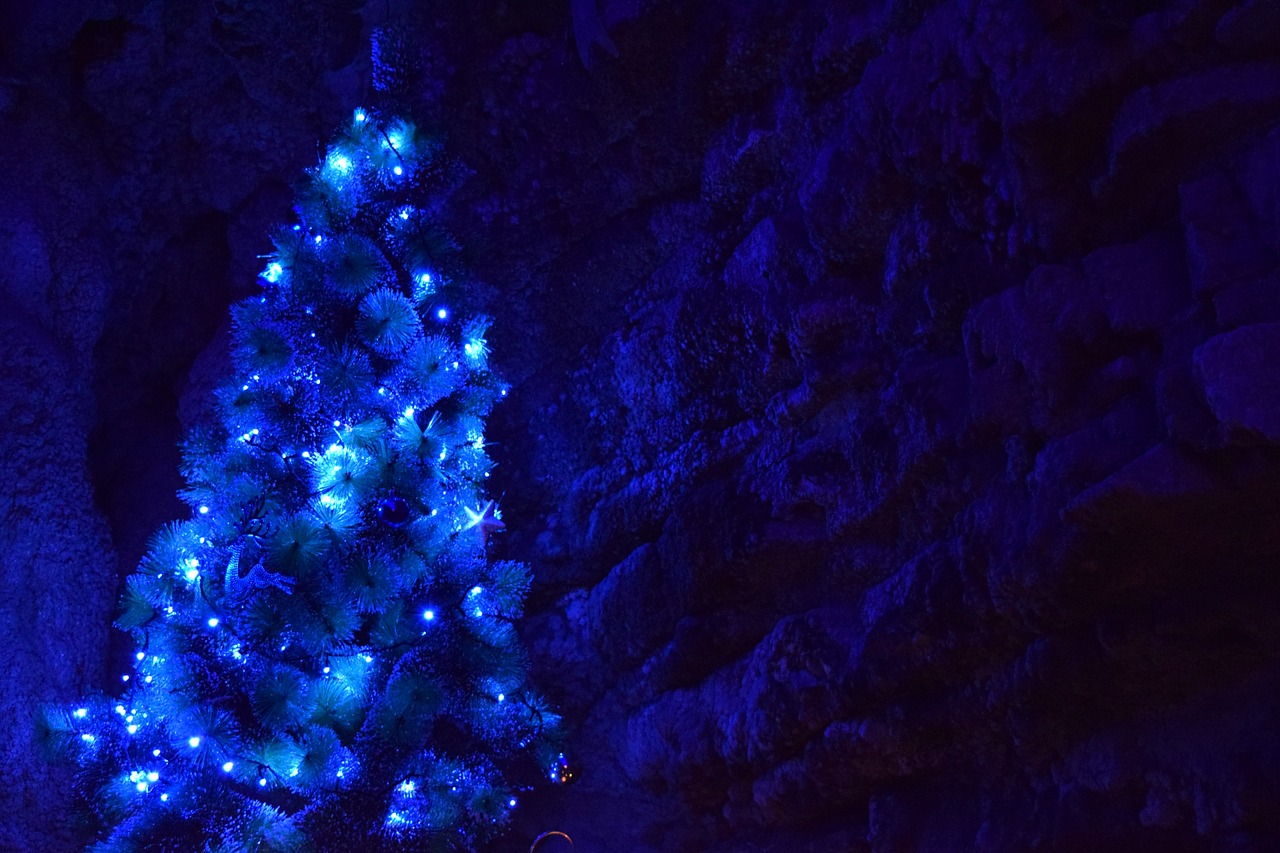 christmas christmas tree blue free photo