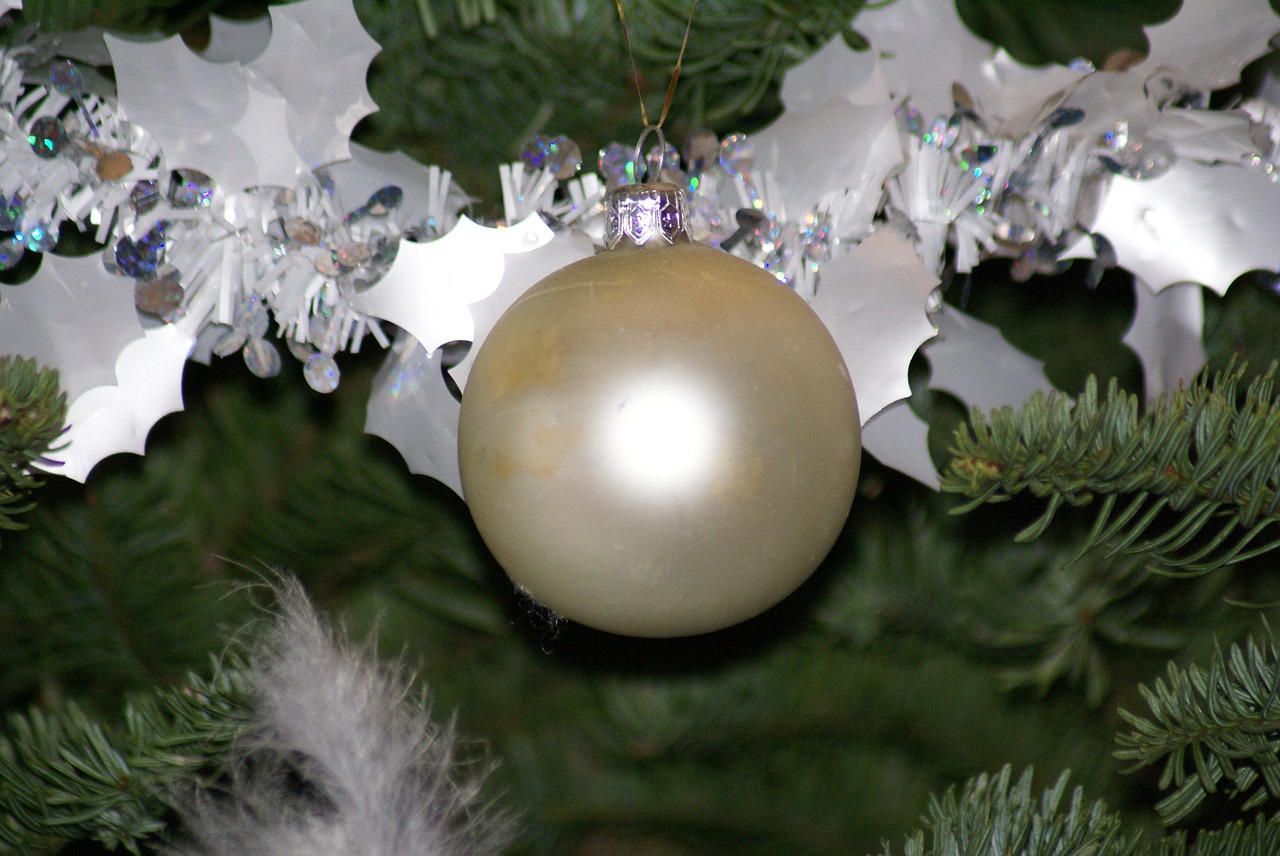 christmas fir decoration free photo