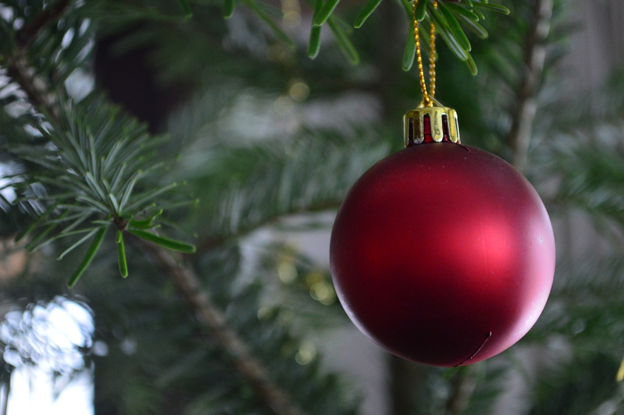 christmas christmas bauble red free photo