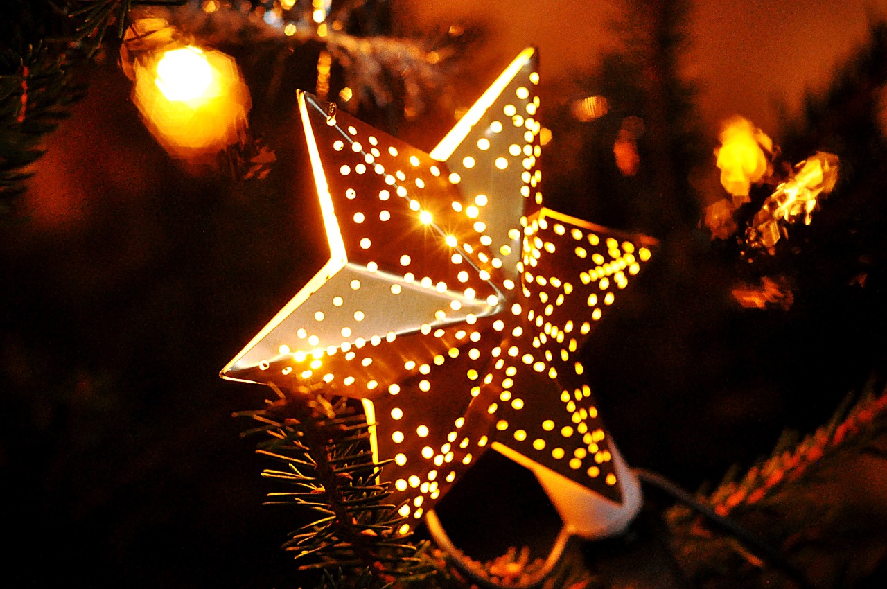 christmas star winter free photo