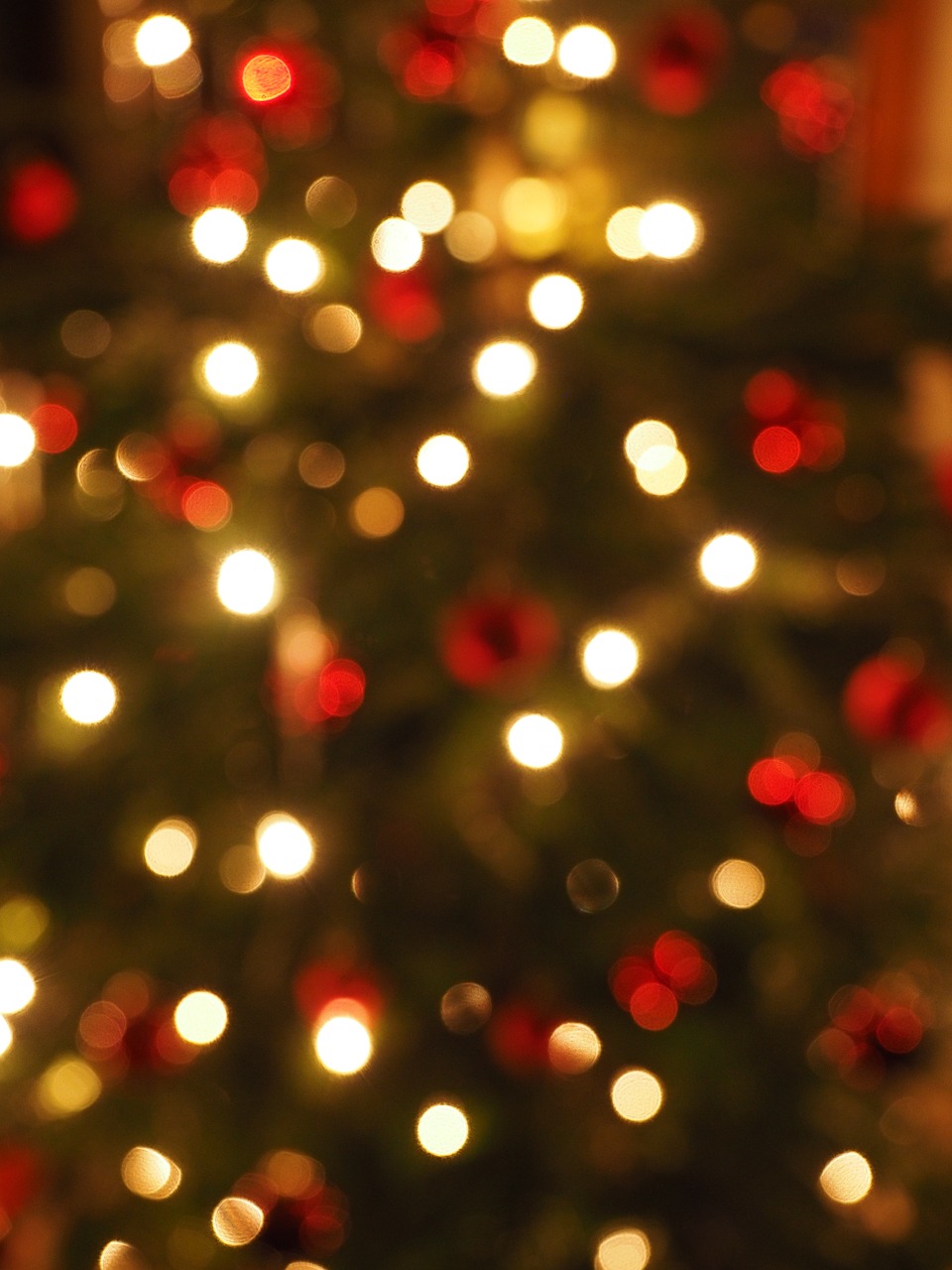christmas out of focus bokeh free photo