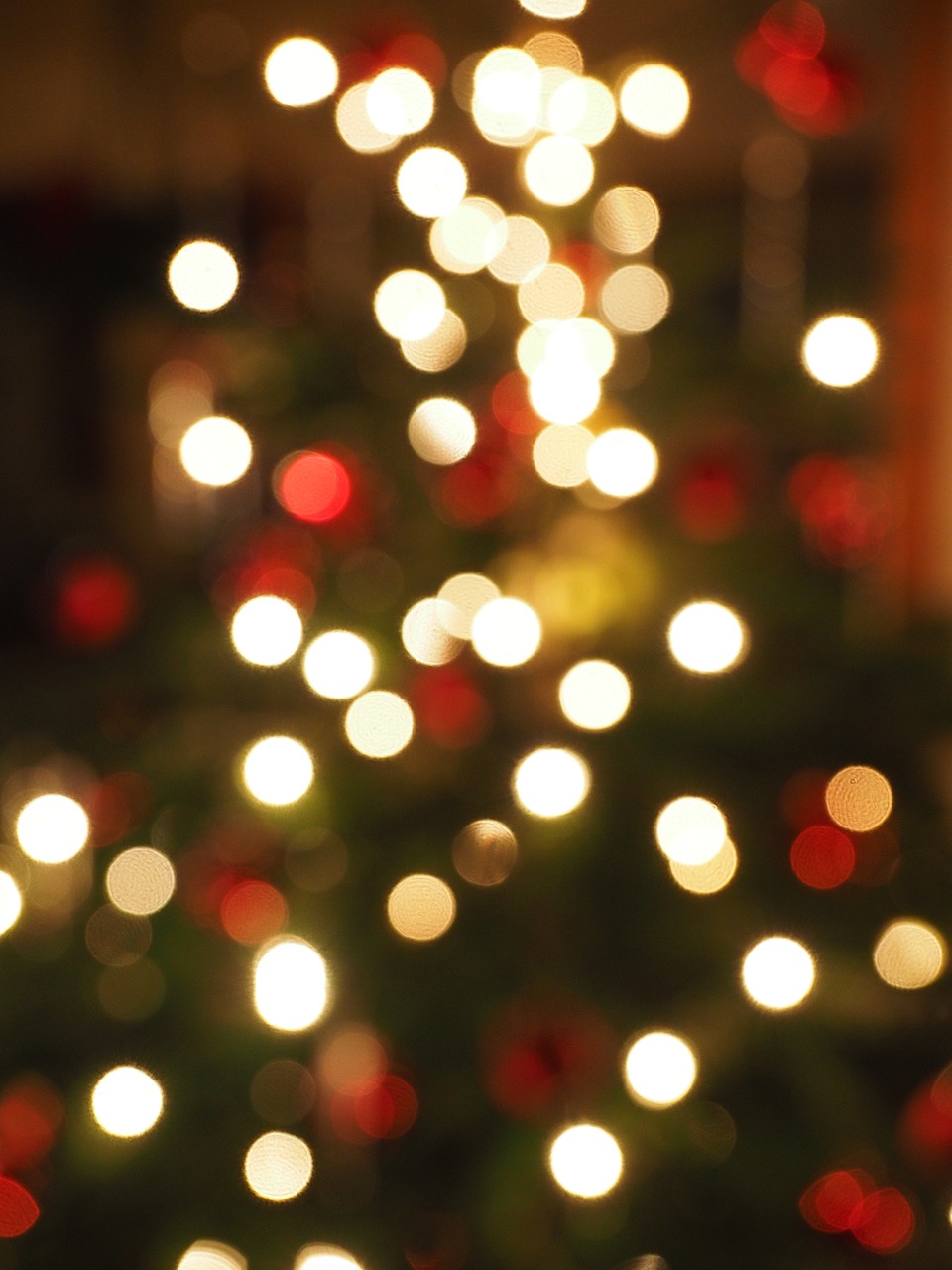 christmas out of focus bokeh free photo